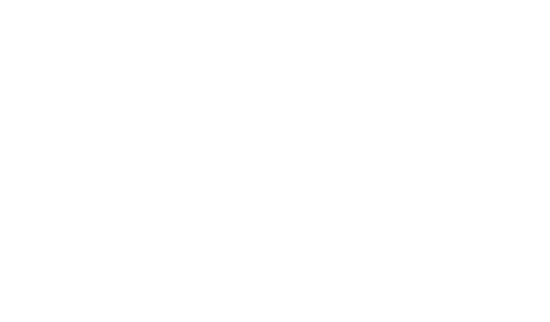 Silver-Willow-Logo