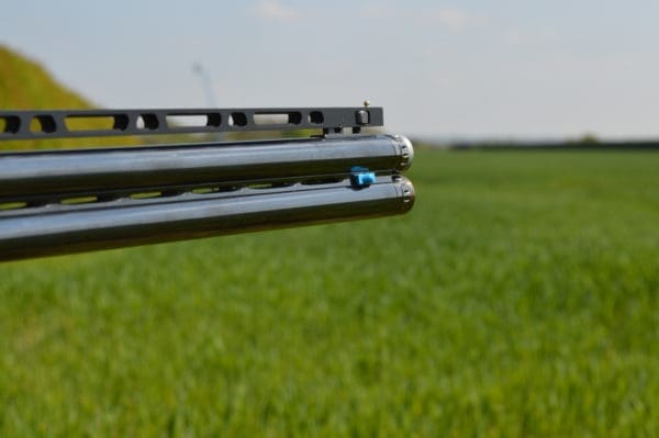 NEW SP Sport – STD - Image 5