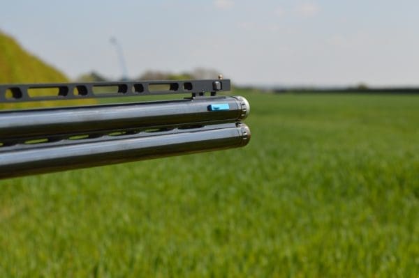 NEW SP Sport - Low - Image 8