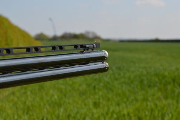 NEW SP - Low - Image 6