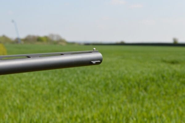 NEW SP - Low - Image 8