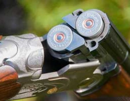 ctsimg2 Gun open cartridge close up